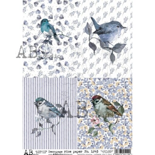 Hârtie de orez - Birds Pictures 2 - A4 1