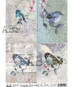 Hârtie de orez - Birds Pictures - A4