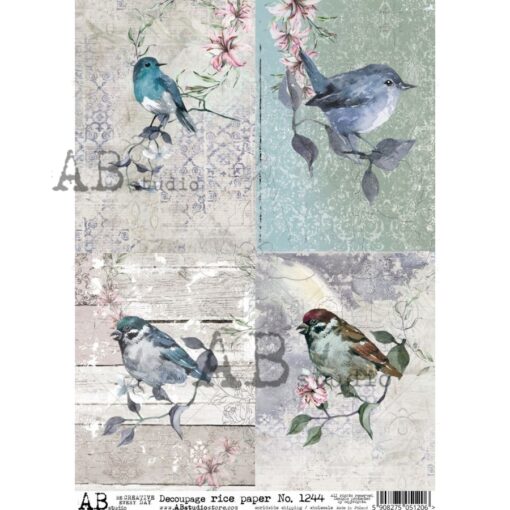 Hârtie de orez - Birds Pictures - A4 1