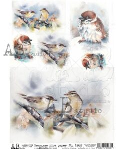 Hârtie de orez - Les oiseaux 2 - A4