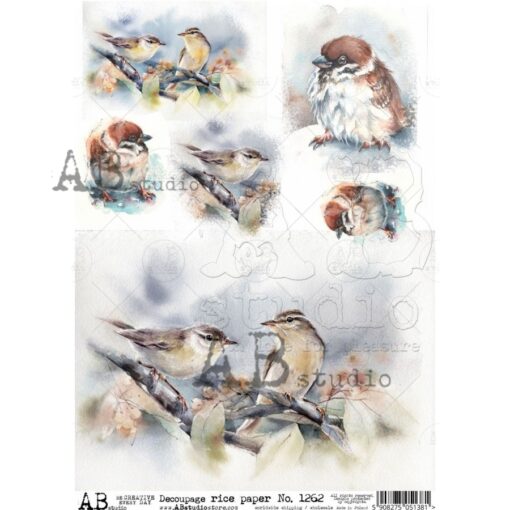 Hârtie de orez - Les oiseaux 2 - A4 1
