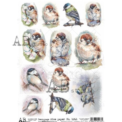 Hârtie de orez - Les oiseaux - A4 1