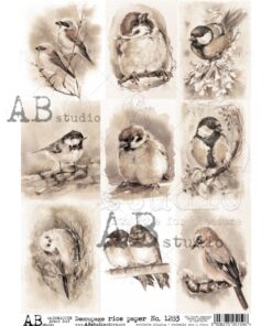 Hârtie de orez – Beautiful Birds 2 - A4