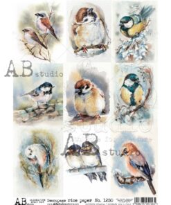 Hârtie de orez – Beautiful Birds - A4