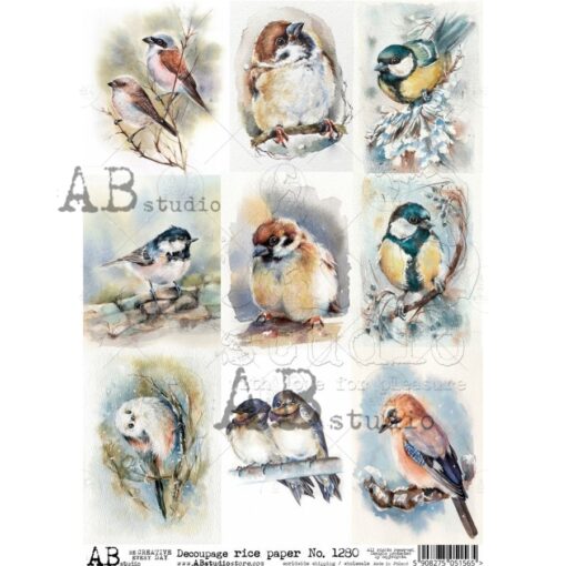 Hârtie de orez – Beautiful Birds - A4 1
