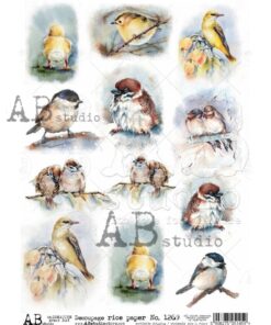 Hârtie de orez – Birds Collage 2 – A4
