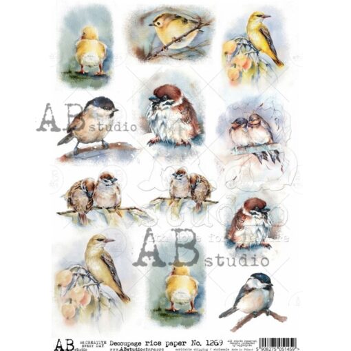 Hârtie de orez – Birds Collage 2 – A4 1