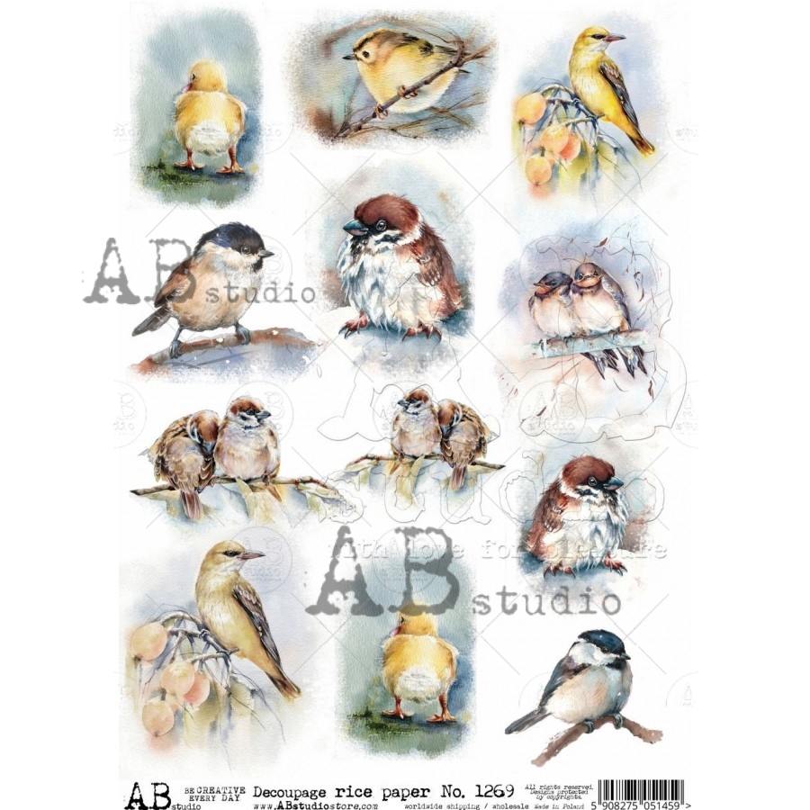 Hârtie de orez – Birds Collage 2 – A4 1 Hârtie de orez – Birds Collage 2 – A4