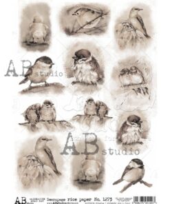 Hârtie de orez – Birds Collage – A4