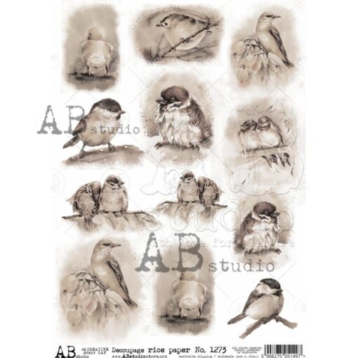 Hârtie de orez – Birds Collage – A4 1