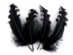 Pene crețe decorative – 12-18 cm – negru