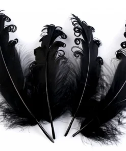 Pene crețe decorative – 12-18 cm – negru