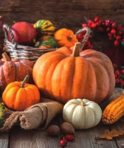 Șervețel - Thanksgiving Still Life - 33x33 cm
