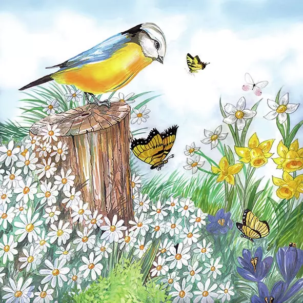Șervețel - Bird Watching - 33x33 cm 1 Șervețel - Bird Watching - 33x33 cm