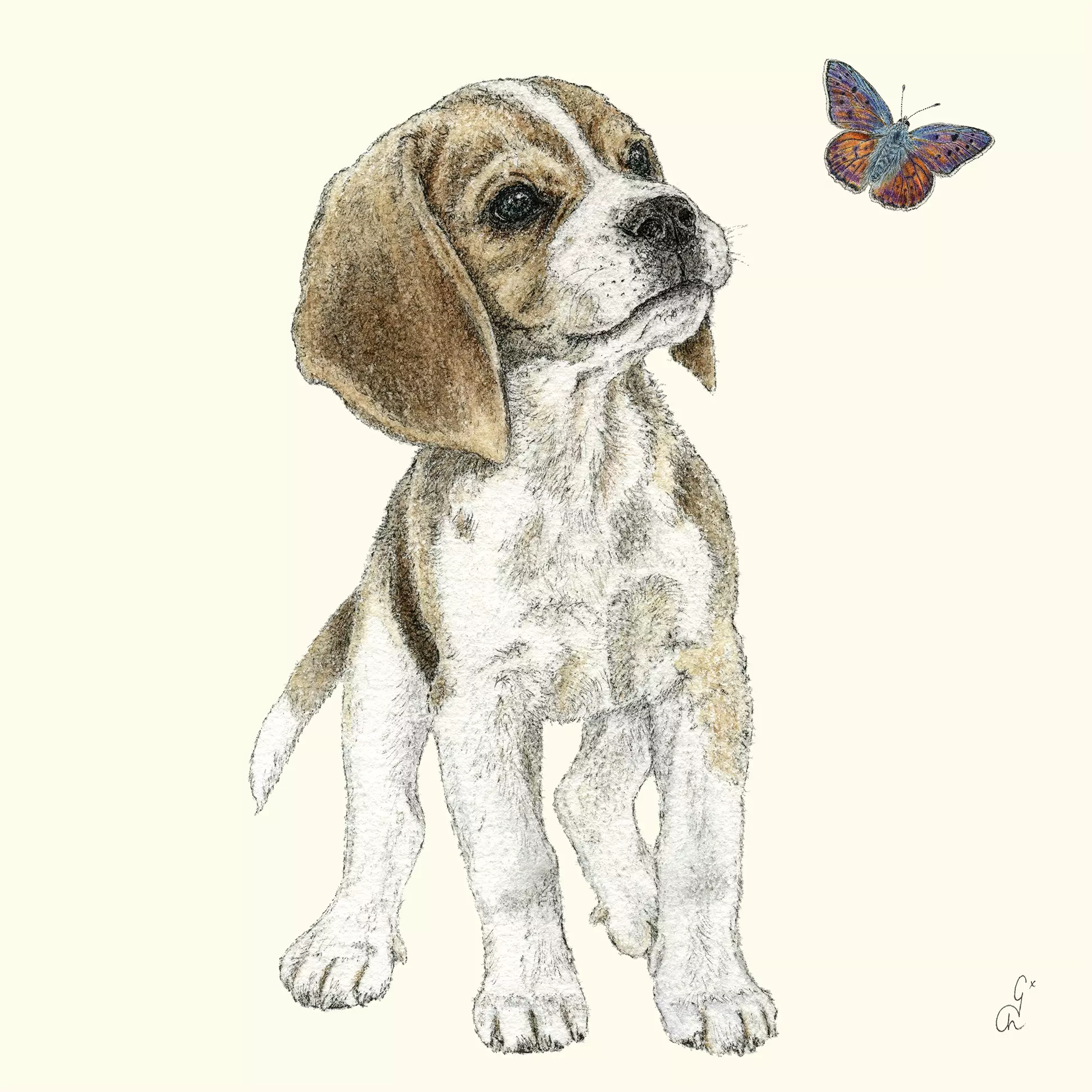Șervețel - Jean - 33x33 cm 1 Șervețel - Jean - 33x33 cm