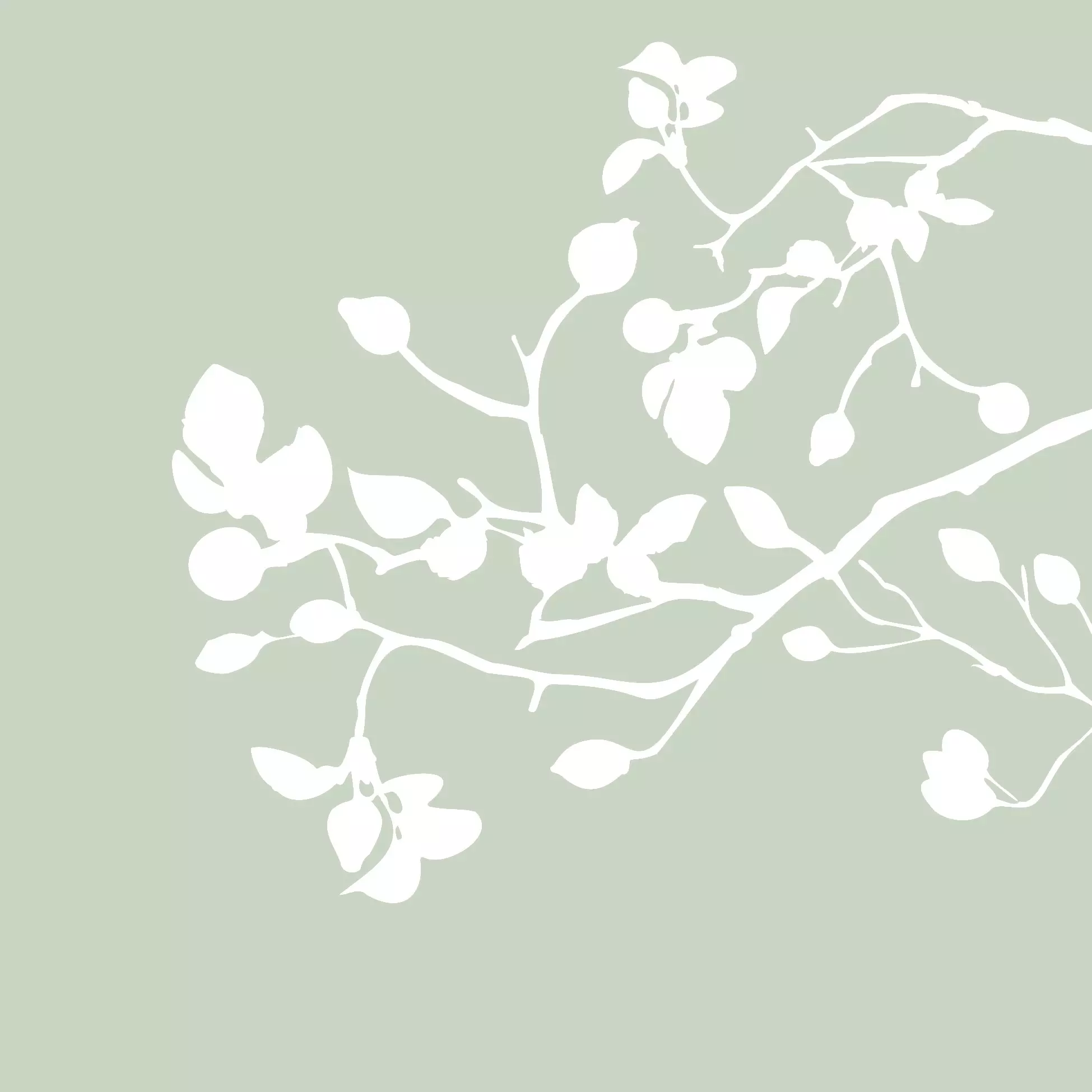 Șervețel - Pure Branch green - 33x33 cm 1 Șervețel - Pure Branch green - 33x33 cm