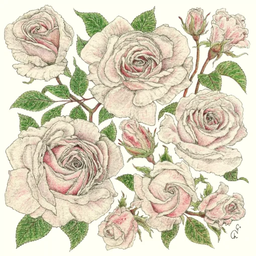 Șervețel - Roses - 33x33 cm 1