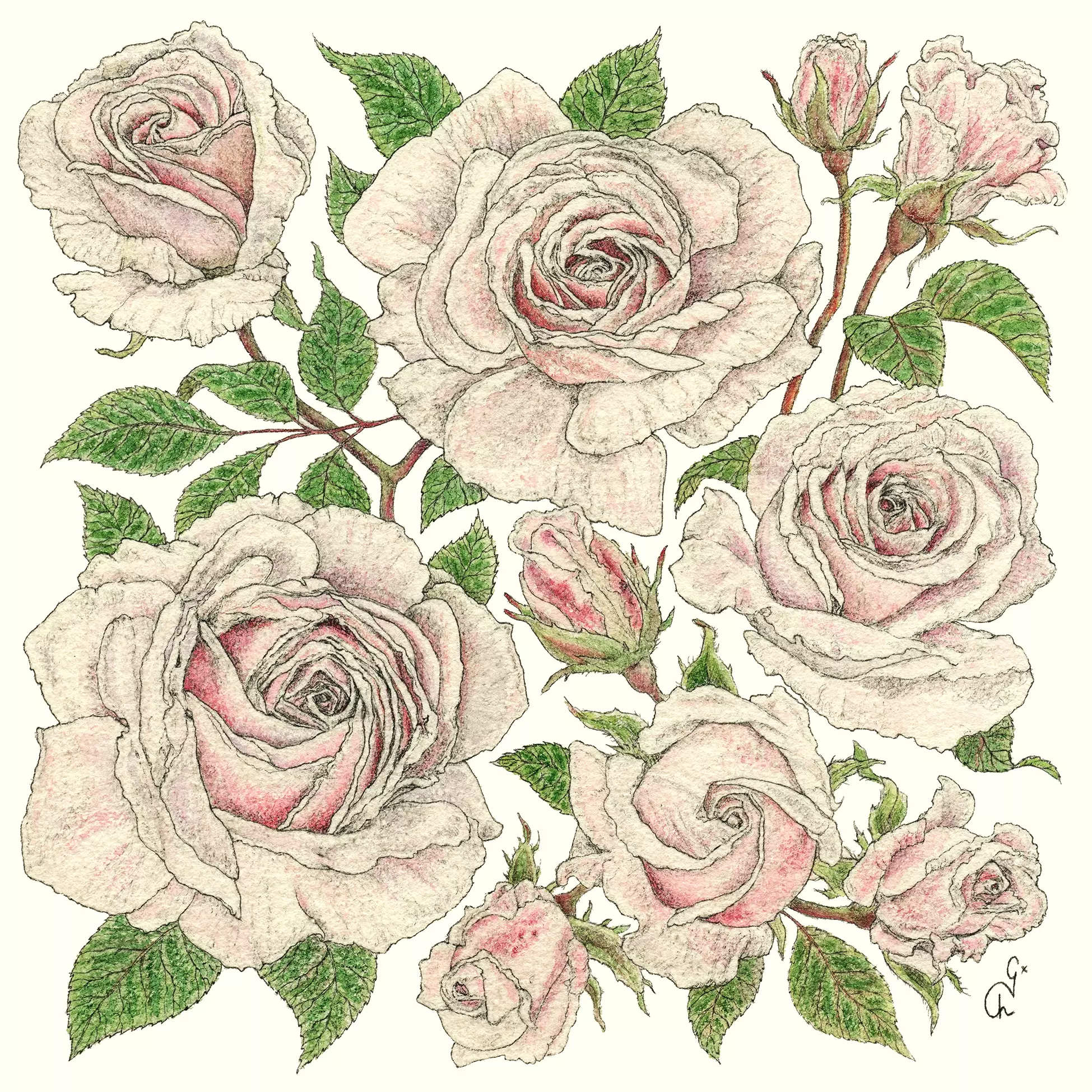 Șervețel - Roses - 33x33 cm 1 Șervețel - Roses - 33x33 cm