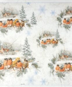 Hârtie de orez - Birds in Winter 2 - 32x45 cm