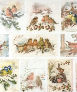 Hârtie de orez - Winter Birds - A3