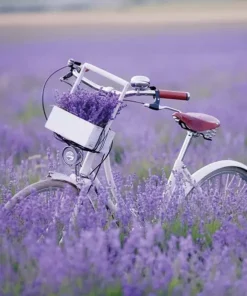 Șervețel - Bike In Lavender Field - 33x33 cm