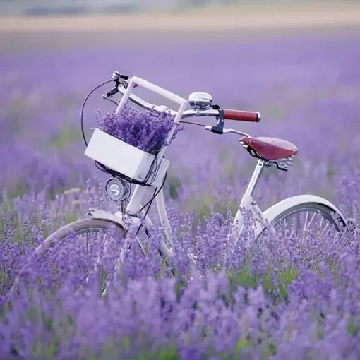 Șervețel - Bike In Lavender Field - 33x33 cm 1