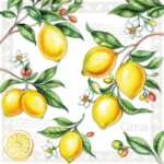 Șervețel - Citrus - 33x33 cm