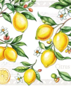 Șervețel - Citrus - 33x33 cm