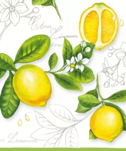 Șervețel - Citrus Limonum - 33x33 cm