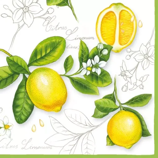 Șervețel - Citrus Limonum - 33x33 cm 1