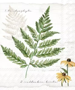 Șervețel - My Little Fern - 33x33 cm