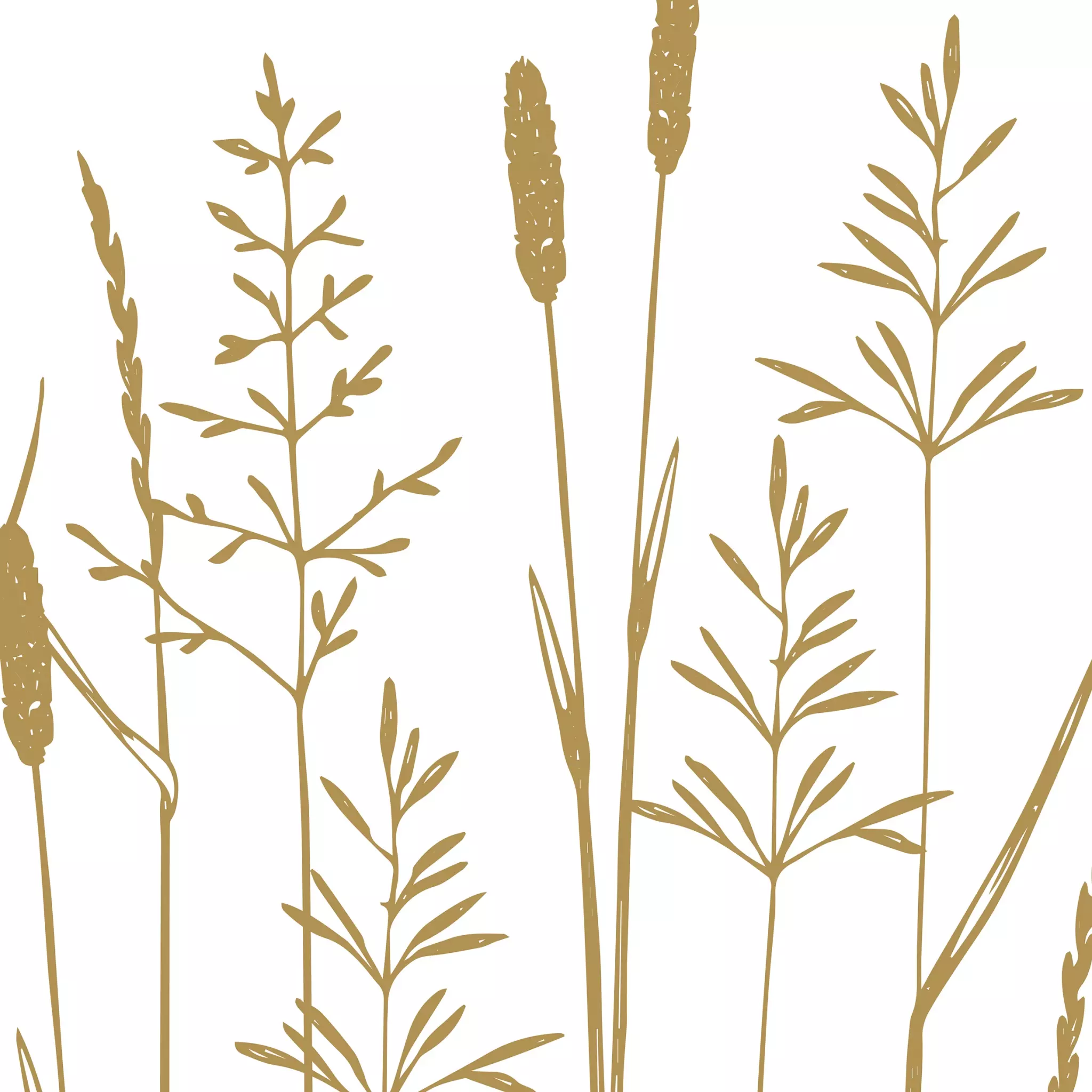 Șervețel - Pure Fields gold - 33x33 cm 1 Șervețel - Pure Fields gold - 33x33 cm