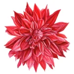 Șervețel - Dahlia - 33x33 cm