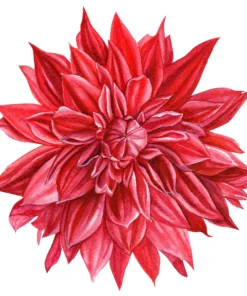 Șervețel - Dahlia - 33x33 cm