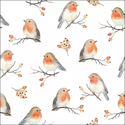 Șervețel - Robin Family - 33x33 cm 1 Șervețel - Robin Family - 33x33 cm