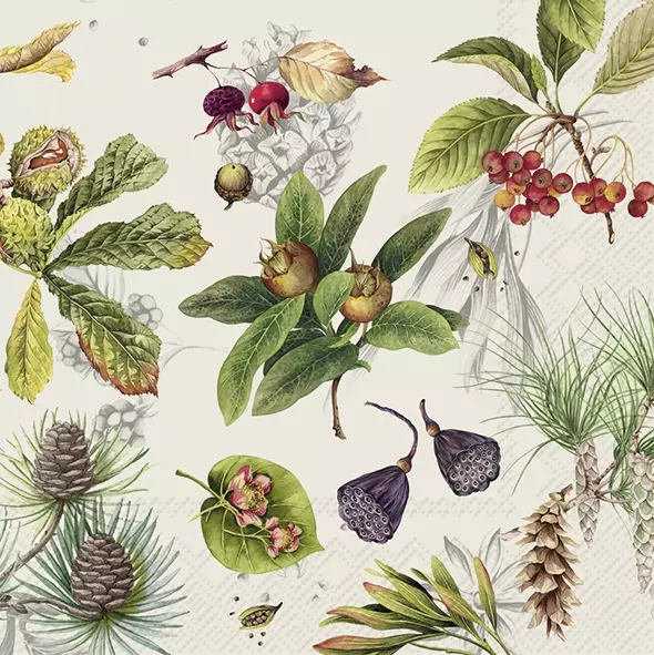Șervețel - Autumn Fruits - 33x33 cm 1 Șervețel - Autumn Fruits - 33x33 cm