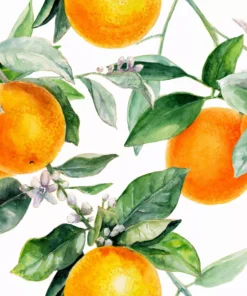 Șervețel - Orange Tree - 33x33 cm