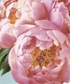 Șervețel - Pink Peony - 33x33 cm