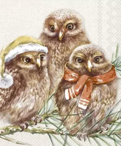 Șervețel - Winter Owls - 33x33 cm