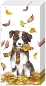 Șervețel – batistă - Dog Having Fan