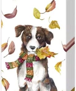 Șervețel – batistă - Dog Having Fan