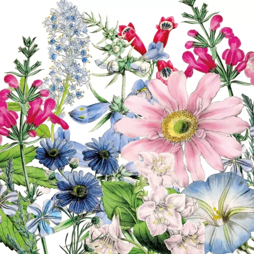 Decoupage: Ghidul practic al tehnicii șervețelului 5