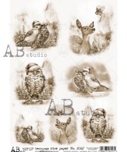 Hârtie de orez – Animals & Birds - A4