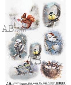 Hârtie de orez – Birds - A4