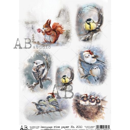 Hârtie de orez – Birds - A4 1
