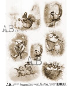 Hârtie de orez – Birds - A4