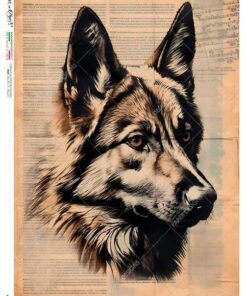 Hârtie de orez - Mystery paper - A4