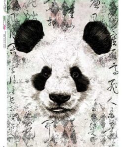 Hârtie de orez - Panda time - A4