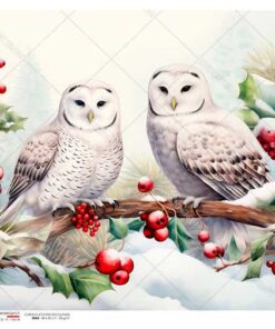 Hârtie de orez - The beauty of owl - A4
