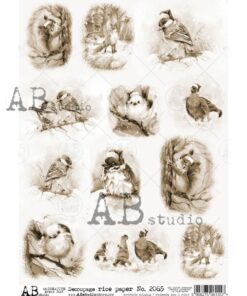 Hârtie de orez – Birds & Animals 2 – A4